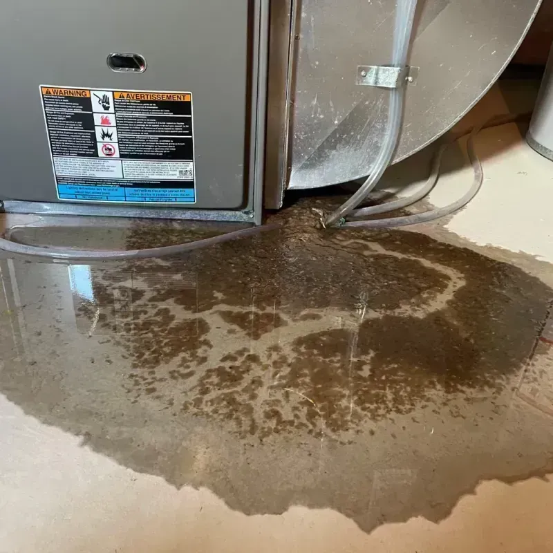 Appliance Leak Cleanup in Terry County, TX